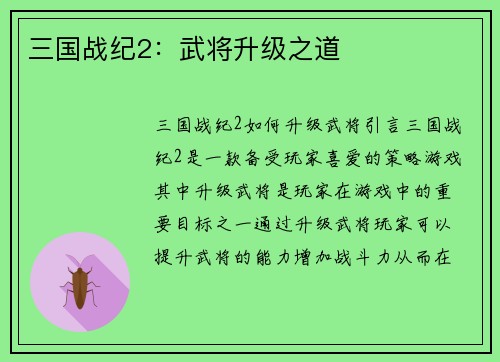 三国战纪2：武将升级之道